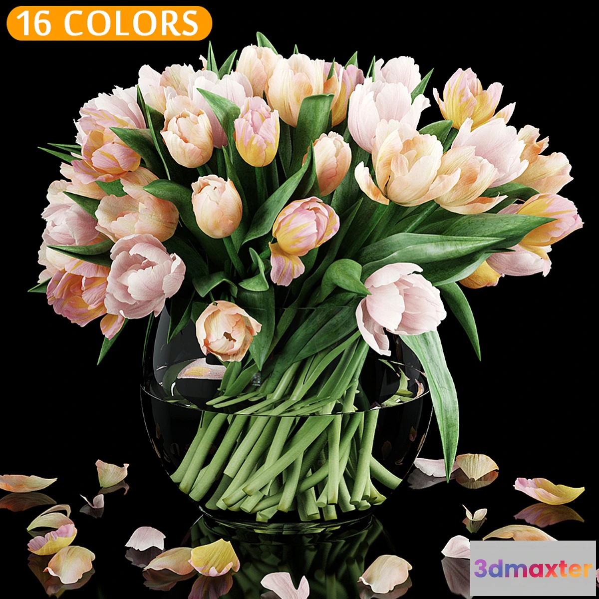 654985 - Tulips - No.12