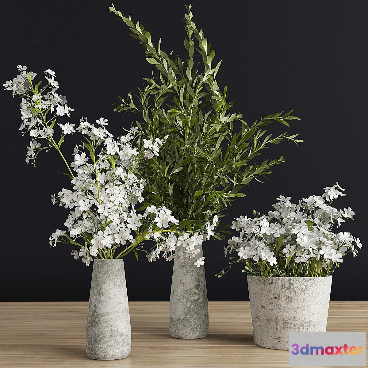 654999 - Plants set 3