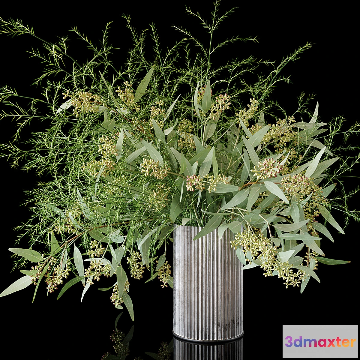 655045 - Eucalyptus - No.3