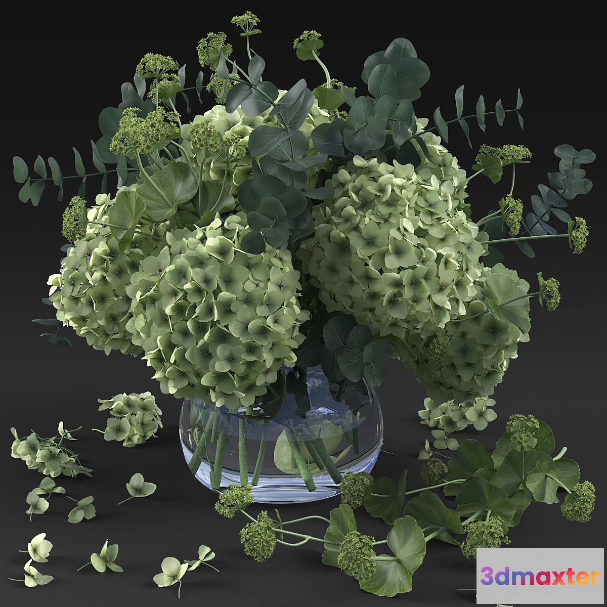 655059 - Hydrangea - No.6