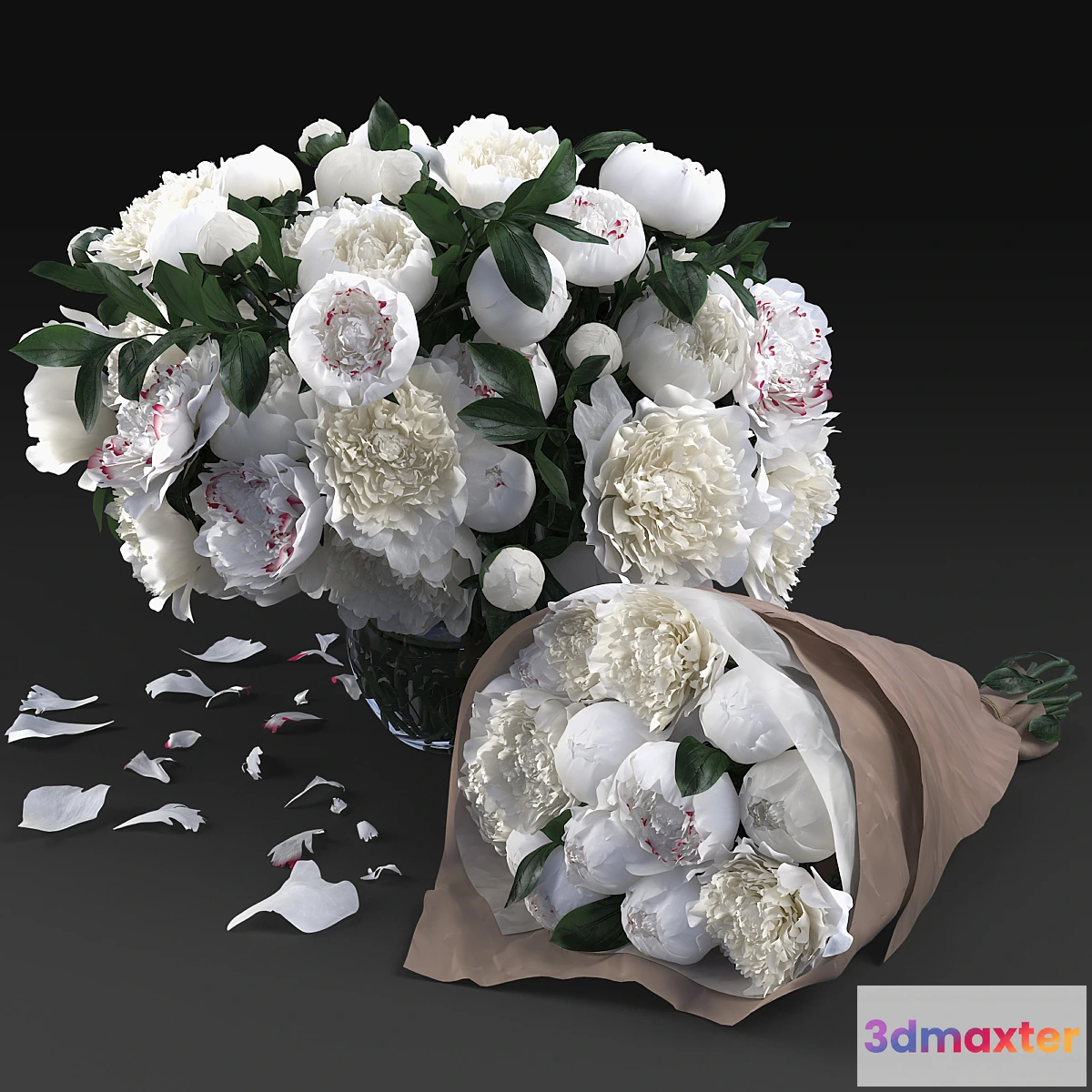 655061 - White Peonies