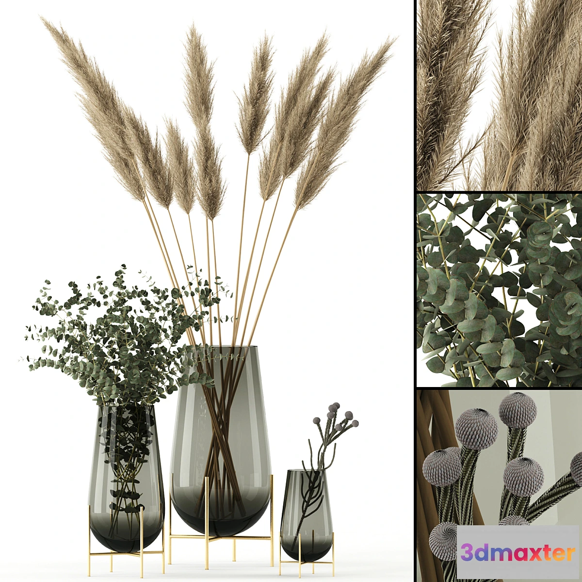 658055 - Plants in Echasse Vases