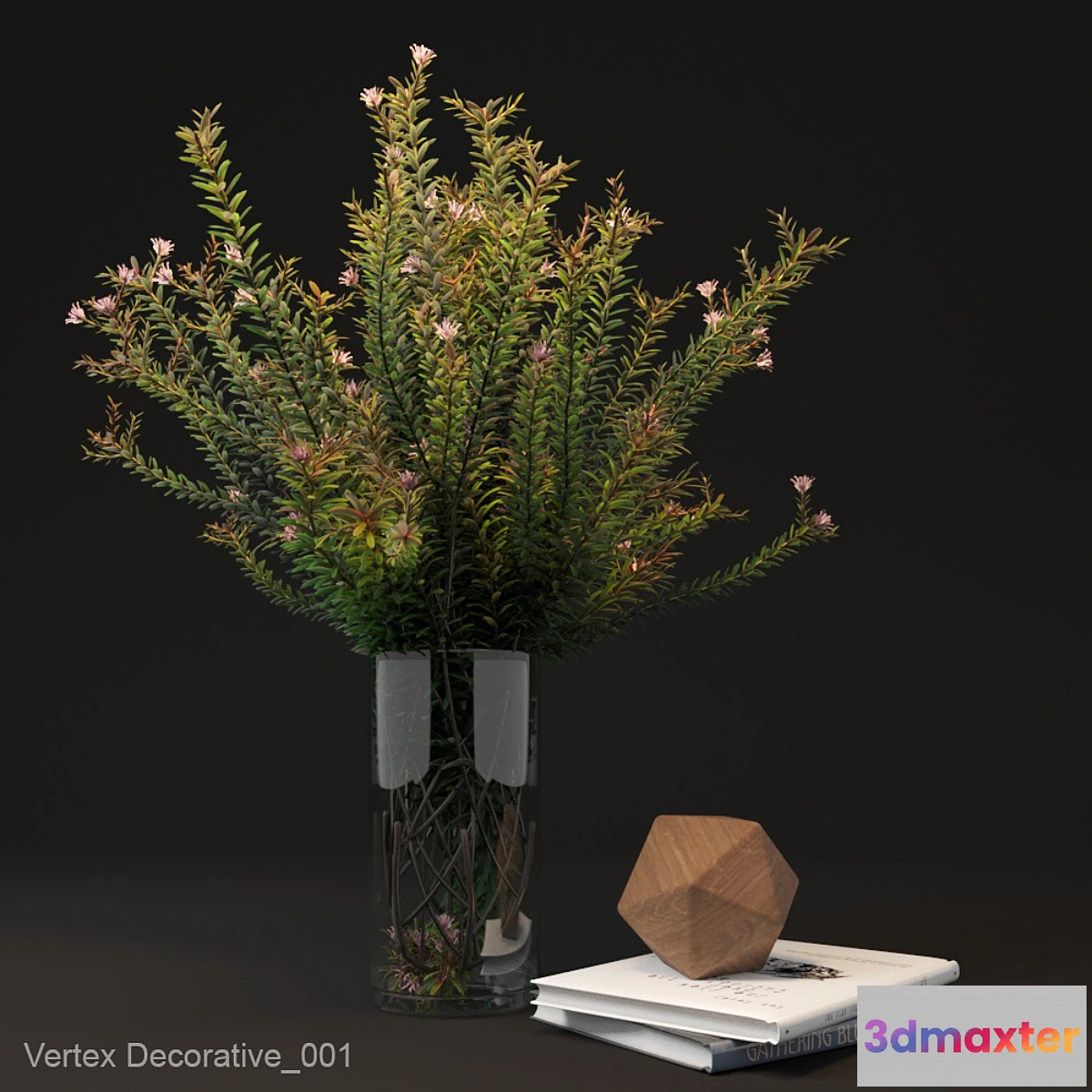 659577 - Vertex Decorative_001