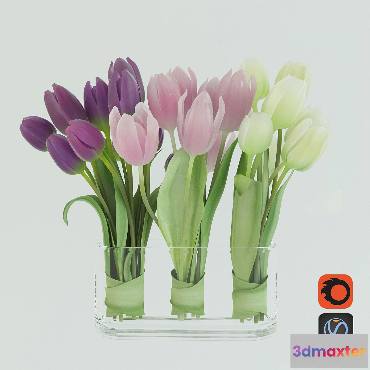 667195 - Tulips - No.13