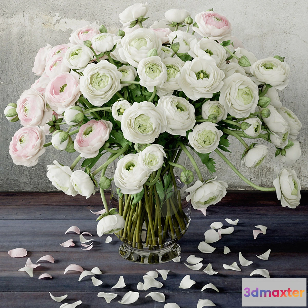 667269 - Ranunkulyus 2 - No.2