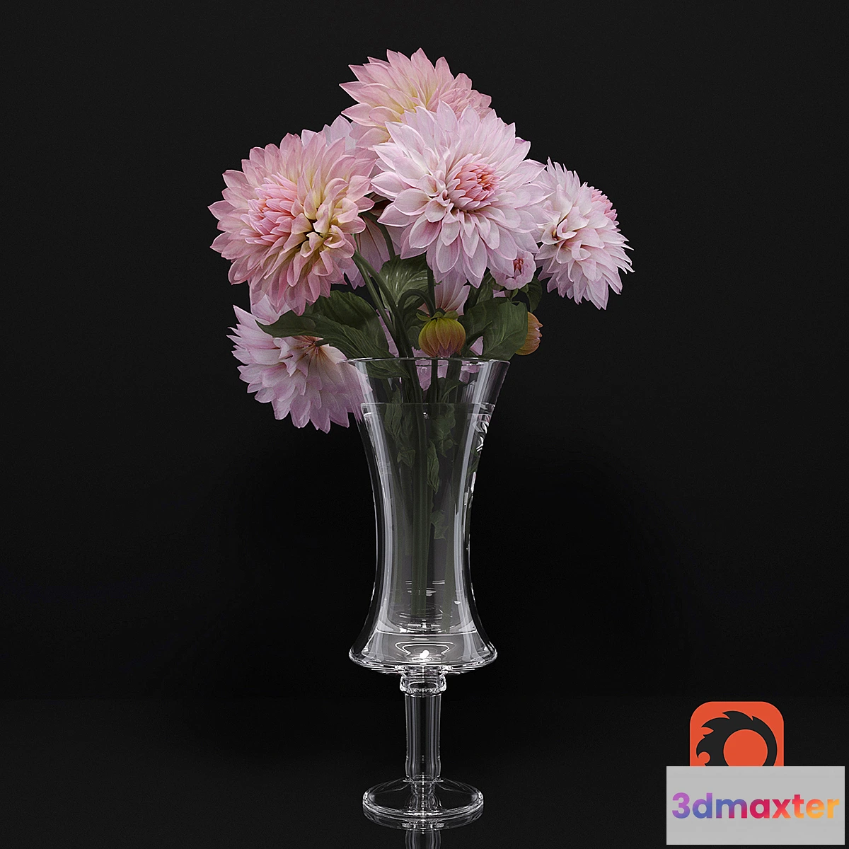 667345 - flowers_dahlias