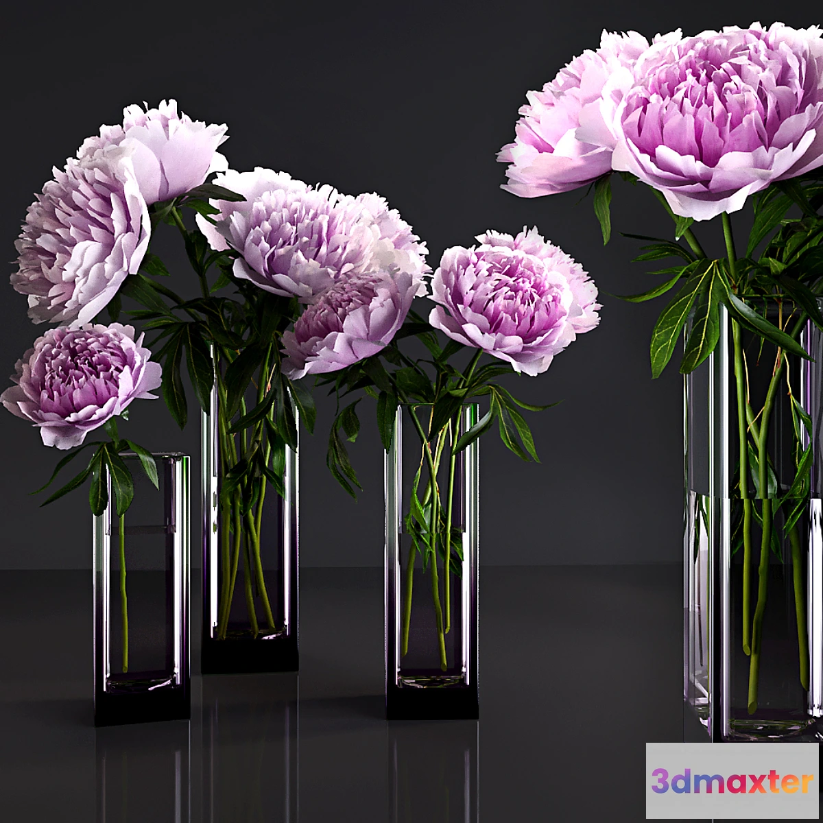 667413 - Peonies - No.13