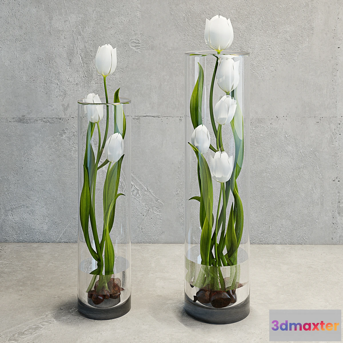 671957 - Tulips - No.15