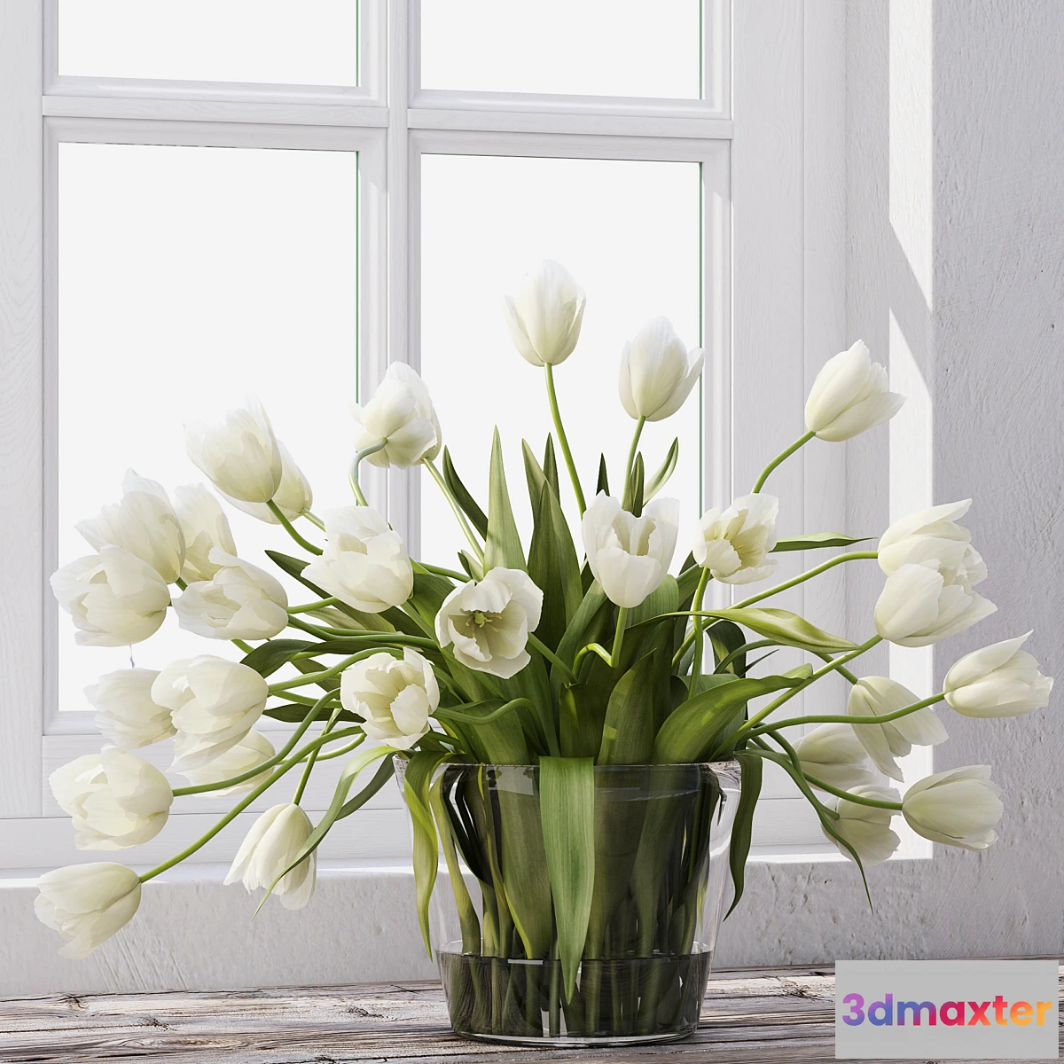 671961 - Tulips - No.16