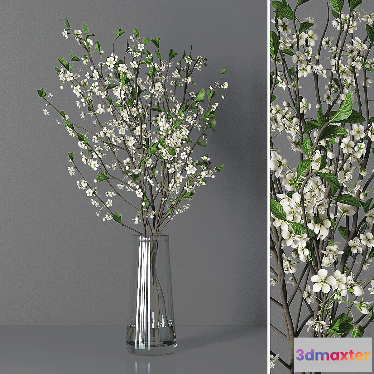 675607 - Cherry blossom 03