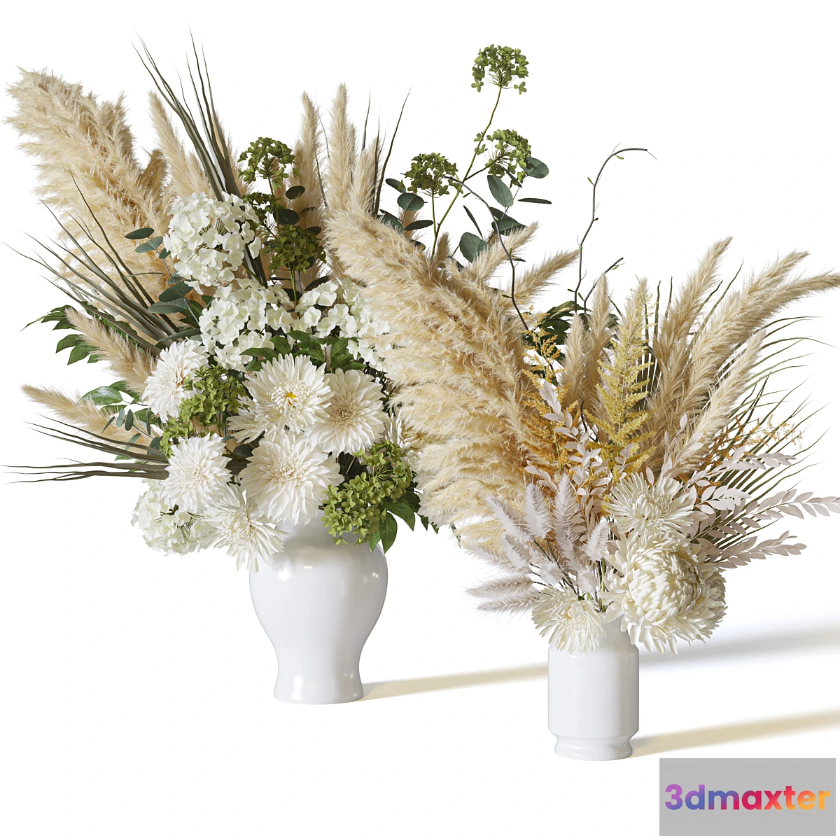 675615 - Flower Set 063 pampas chrysanthemum dahlia