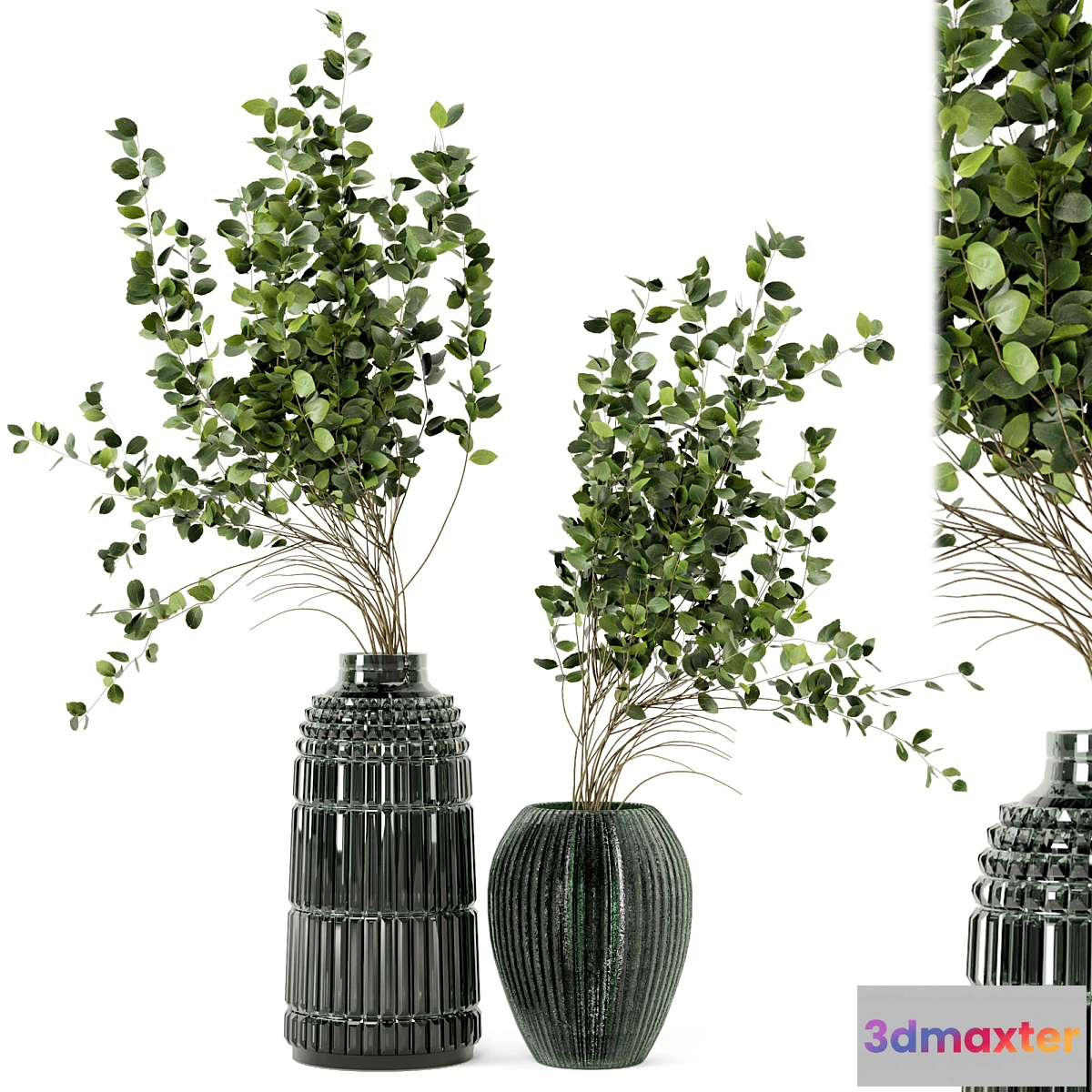 675617 - Indoor Plants In Handmade Glass Pot - Set 94