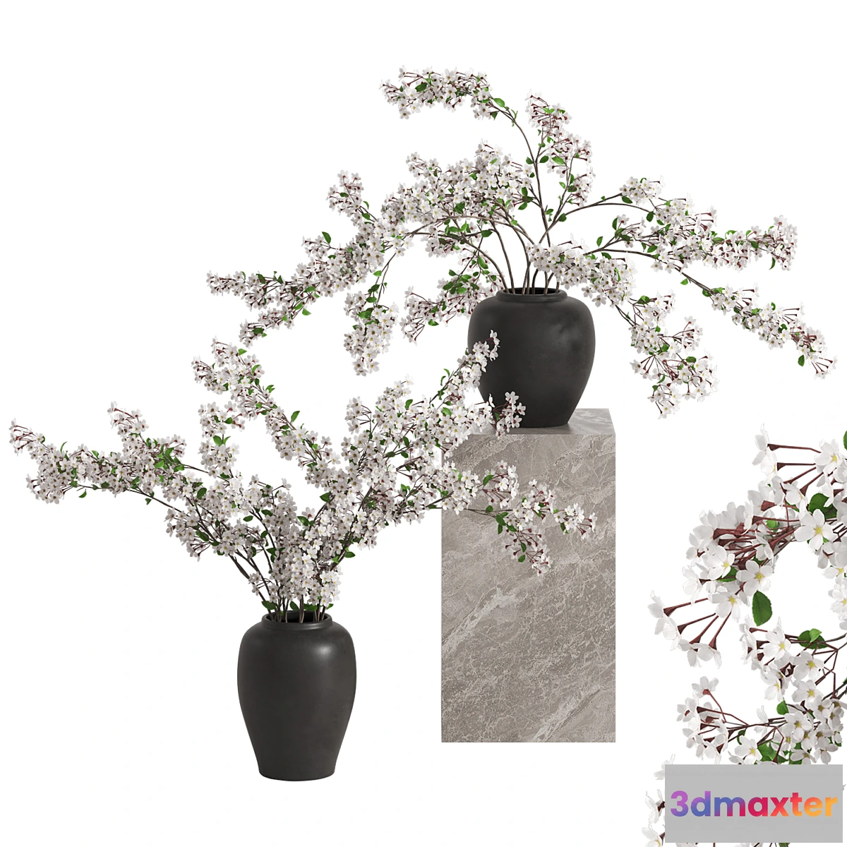 675619 - Vases with Branches White Cherry