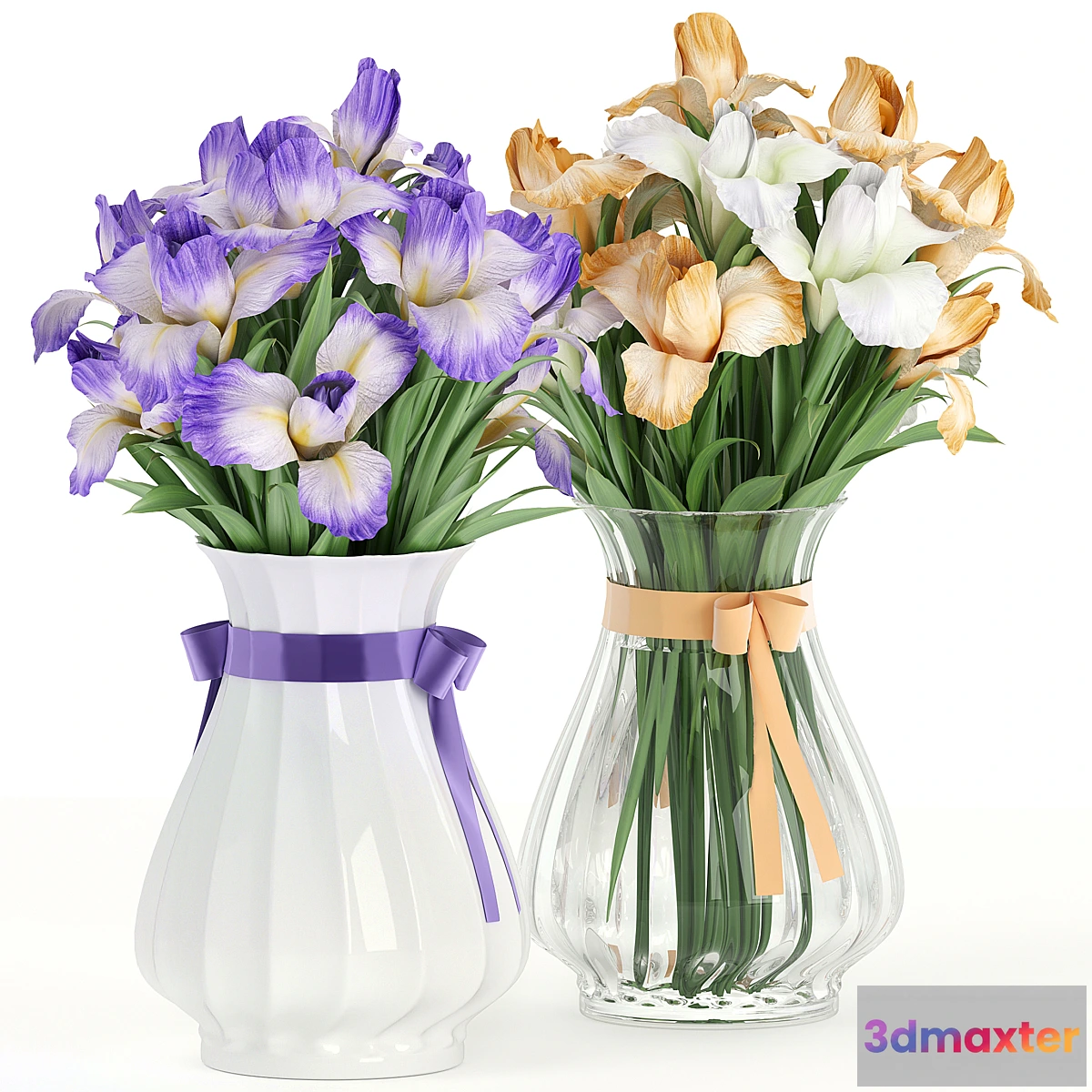 675629 - Flower Pack 249C IRIS