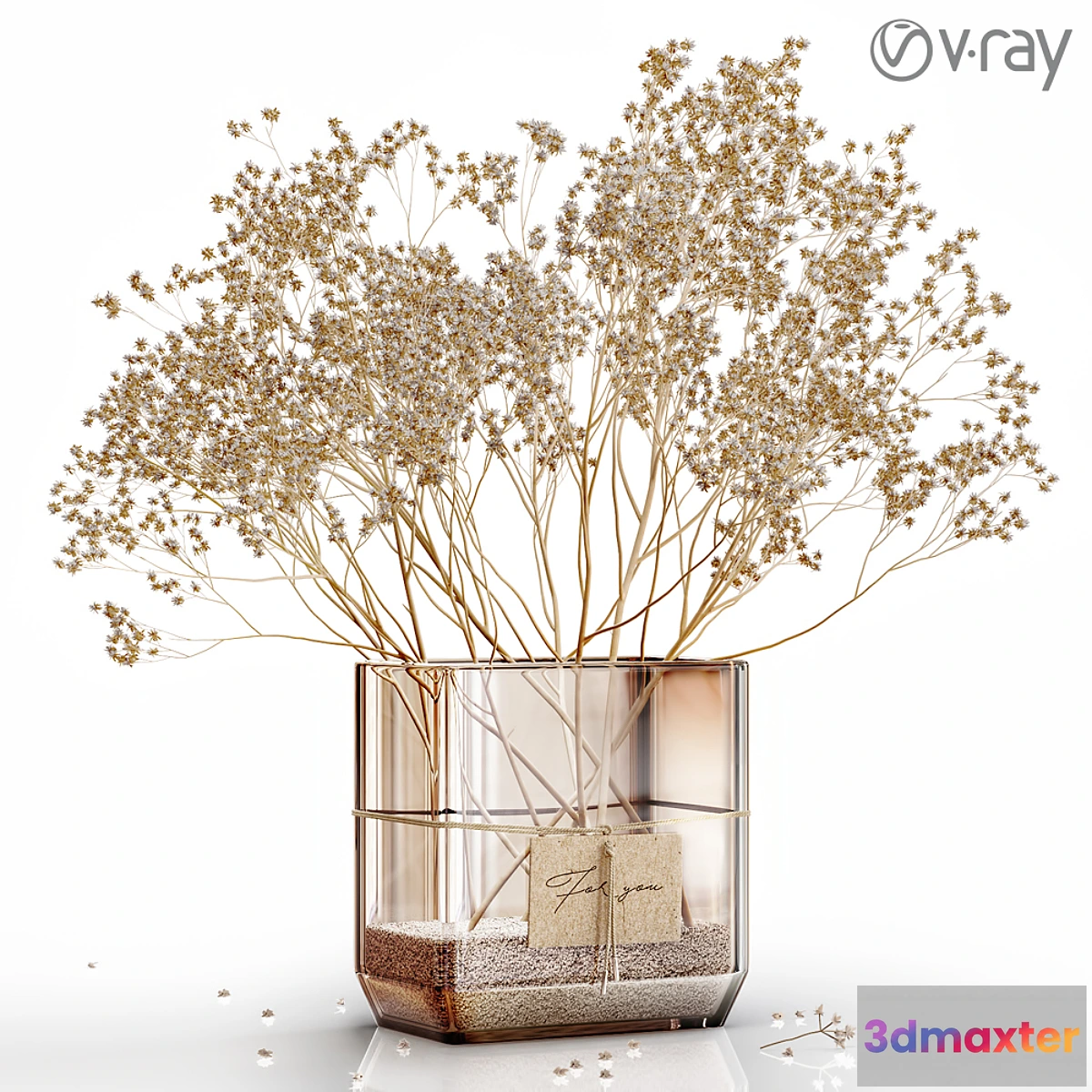 687138 - Dry flowers 6 VRAY