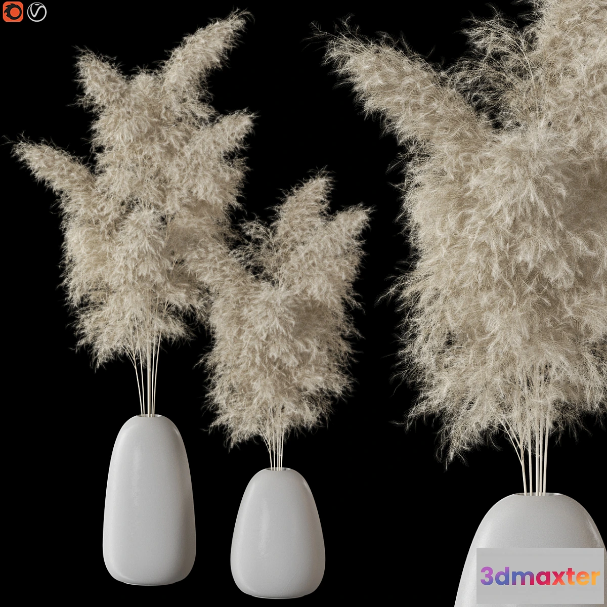 687184 - Decorative Pampas - No.2