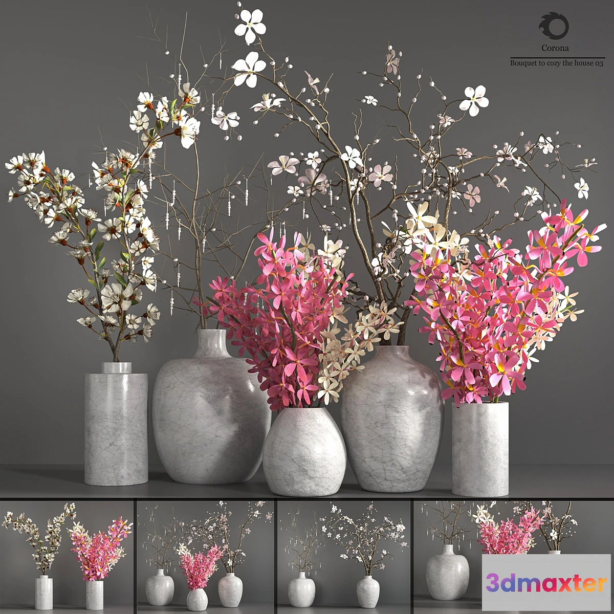 687246 - Collection Plants Bouquet