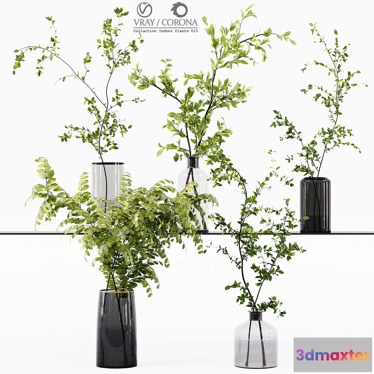 687284 - Collection Indoor Plants 015 - No.2