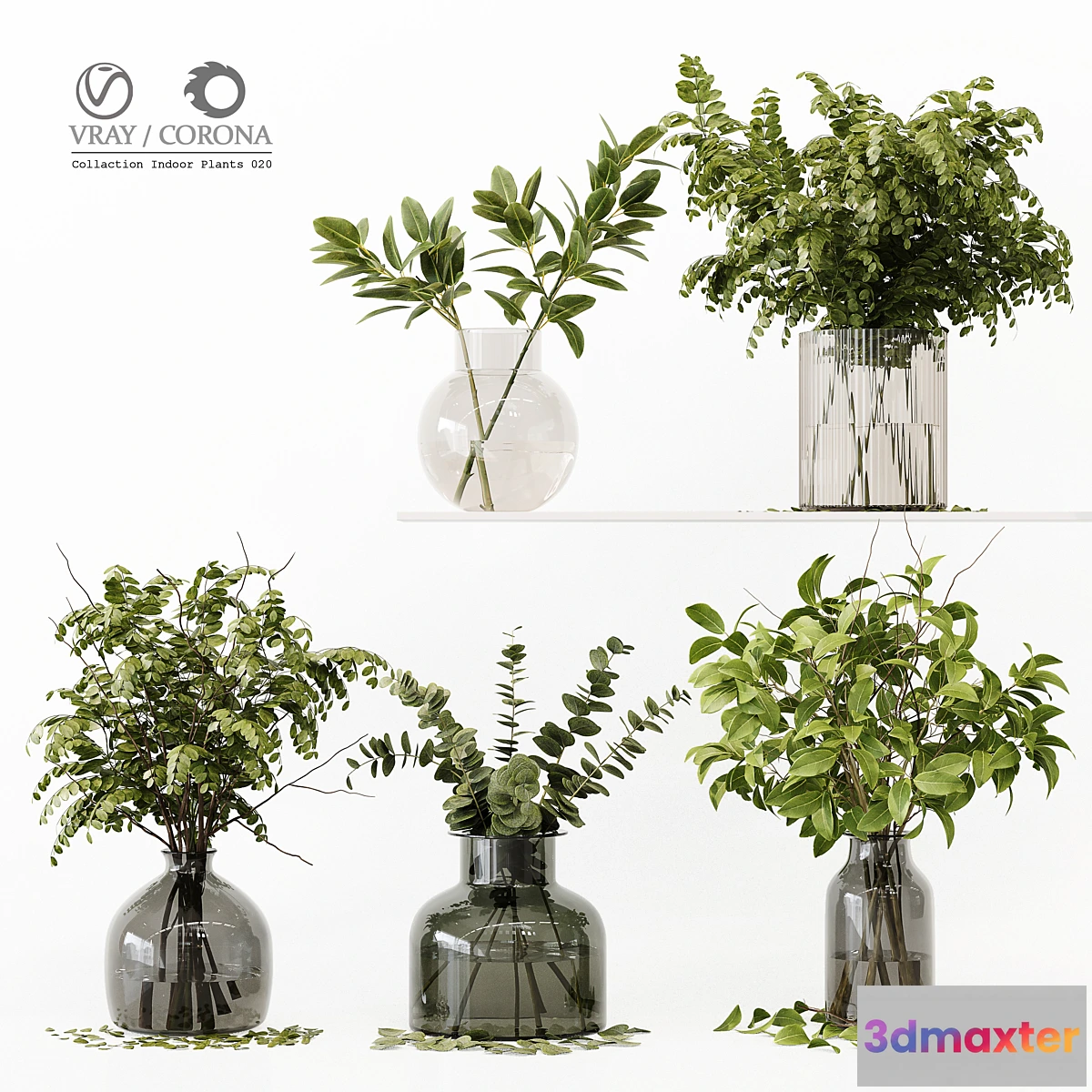 687298 - Collection Indoor Plants 020 - No.2