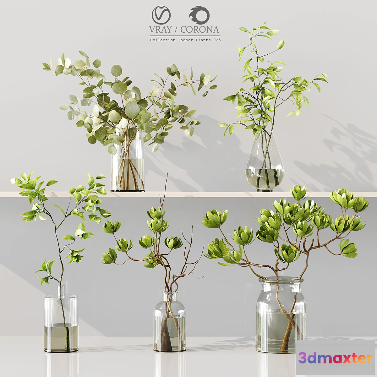 687376 - Collection Indoor Plants 025