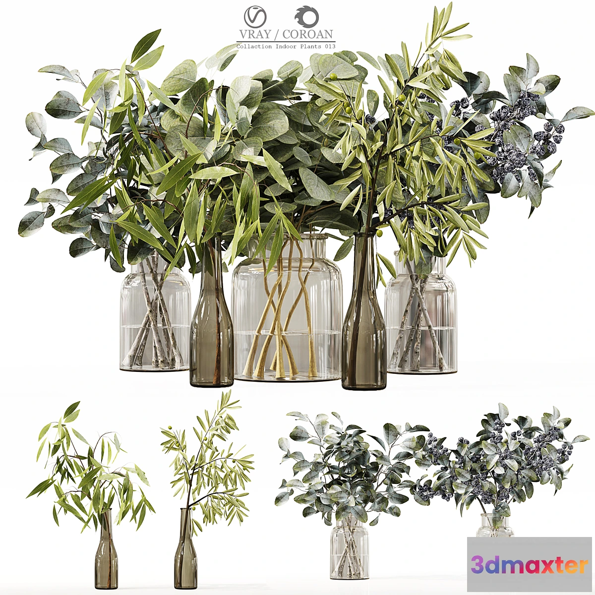 687390 - Collection Indoor Plants 013 - No.2