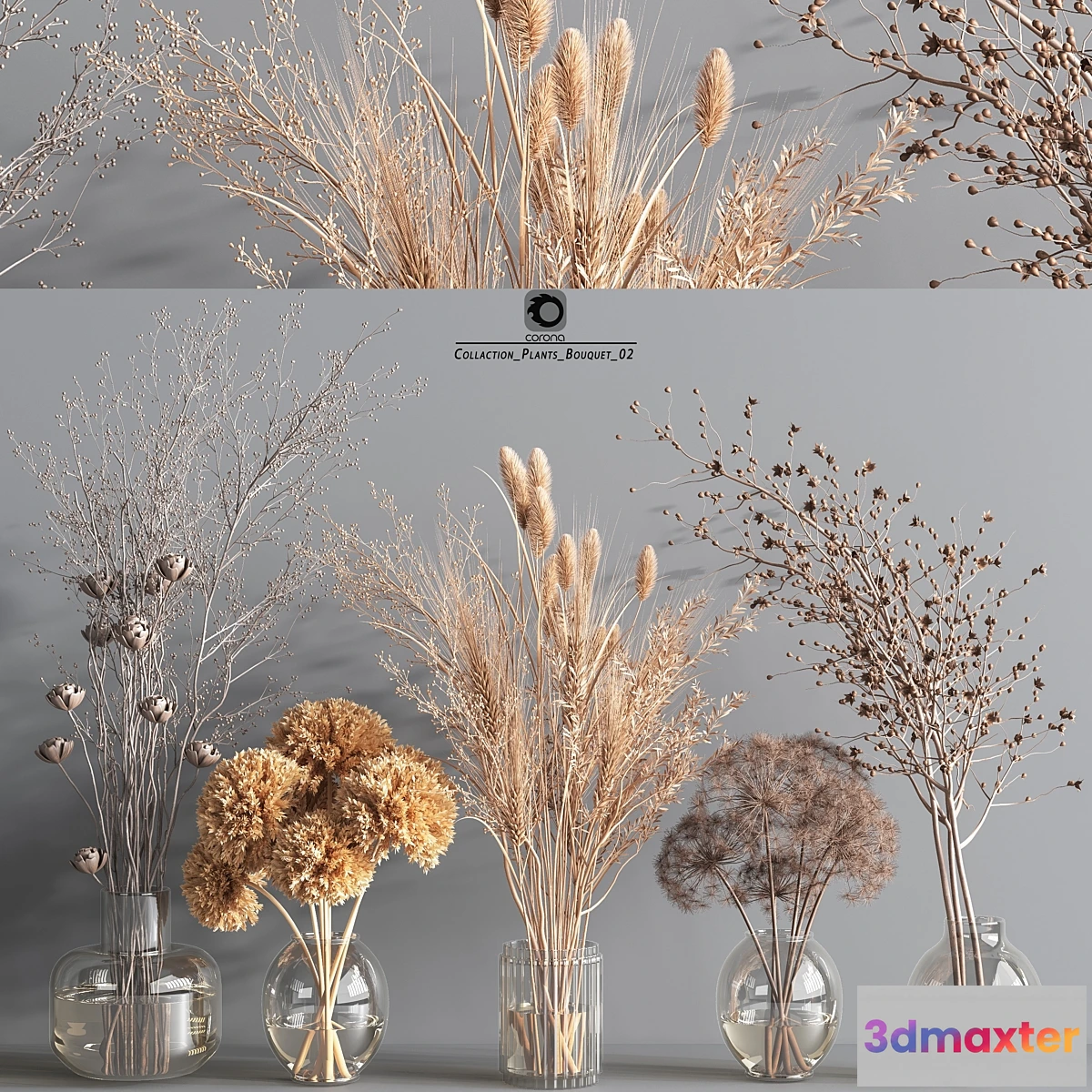 687420 - Collection Plants Bouquet 2