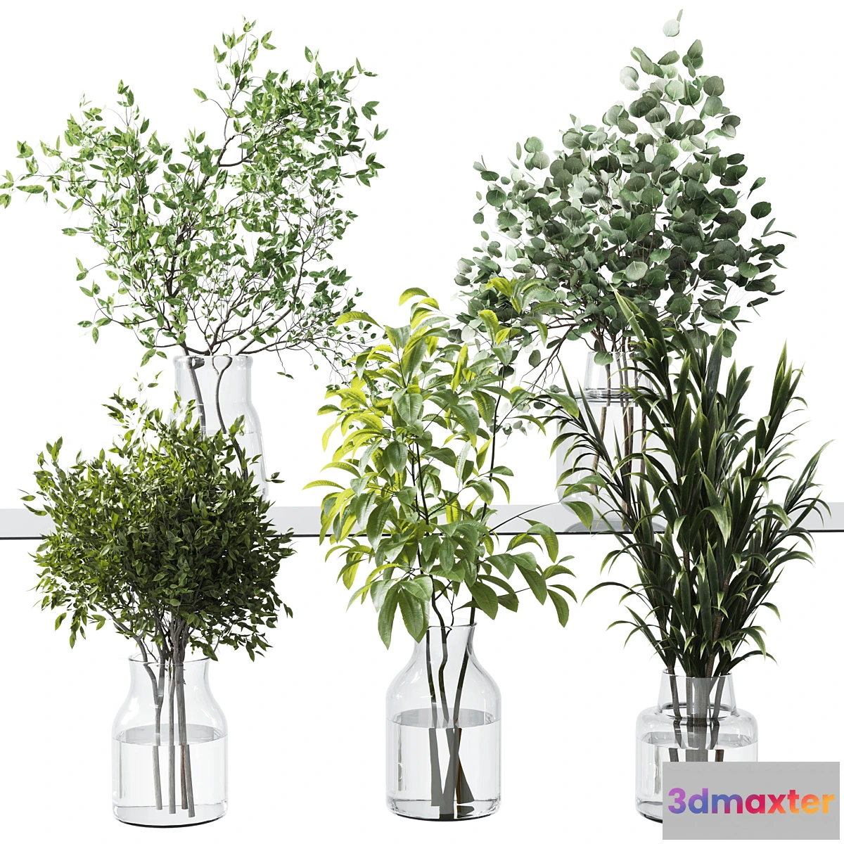 687452 - Collection Green Plants Bouquet Indoor 12