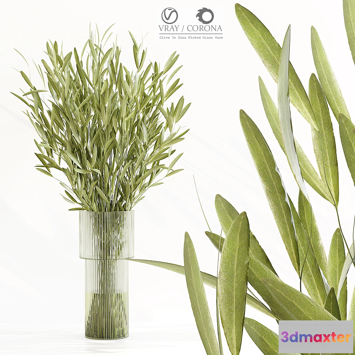 687496 - Olive In Dina Fluted Glass Vase