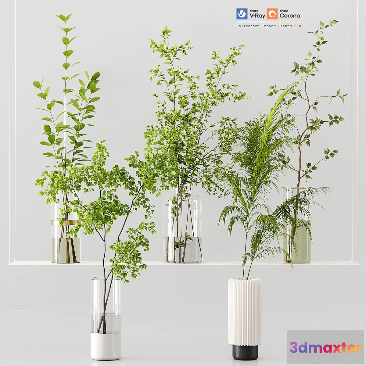 687520 - Collection Indoor Plants 028