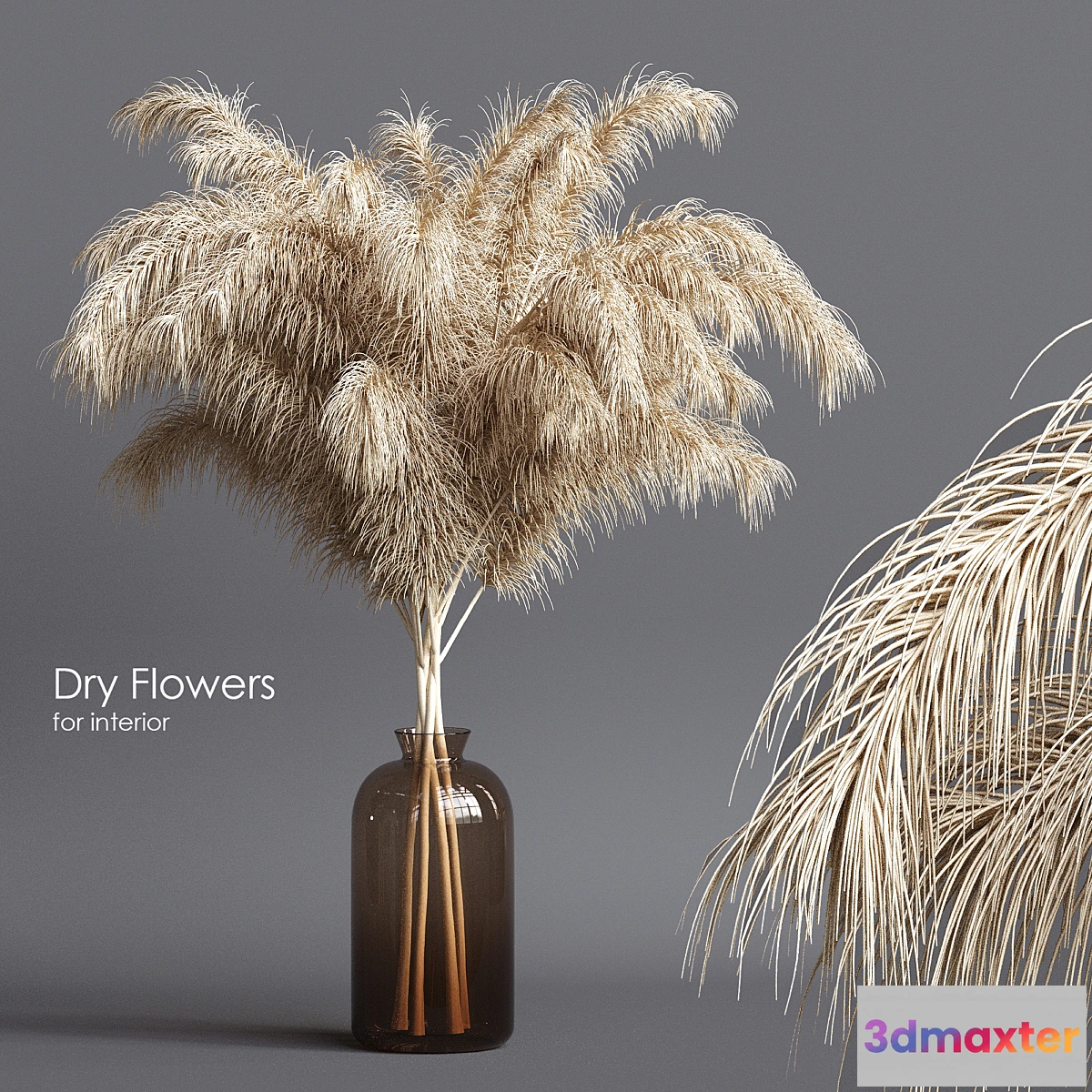 687528 - Dry flowers 03