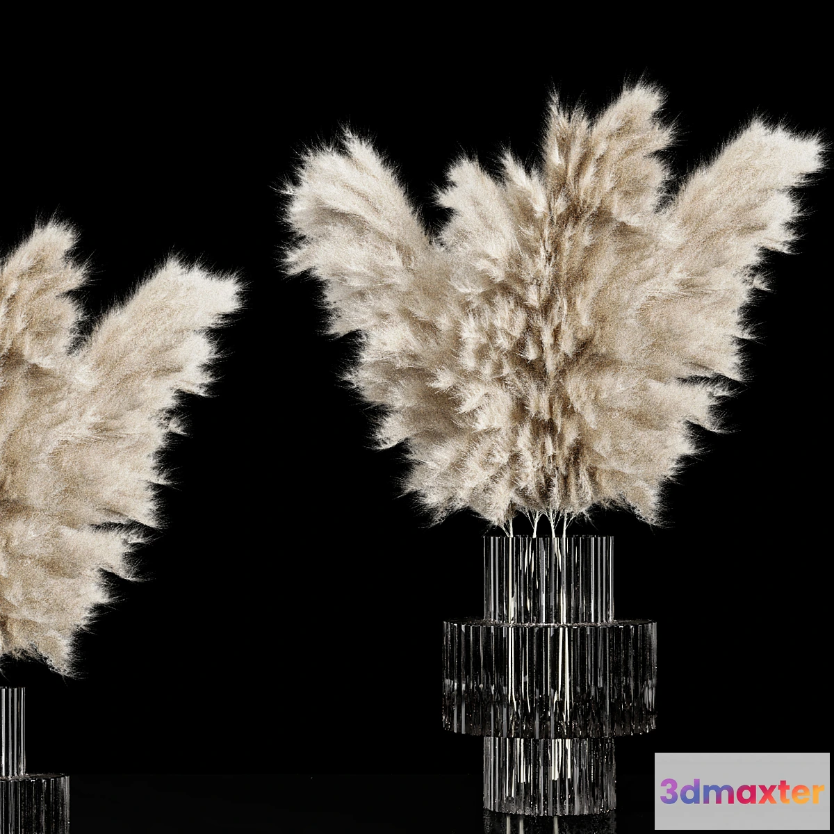 687534 - Dried Pampas Plant