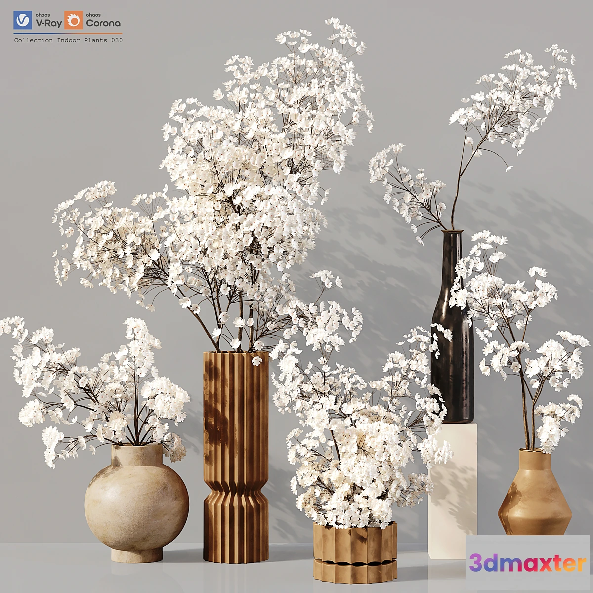 687548 - Collection Indoor Plants 030