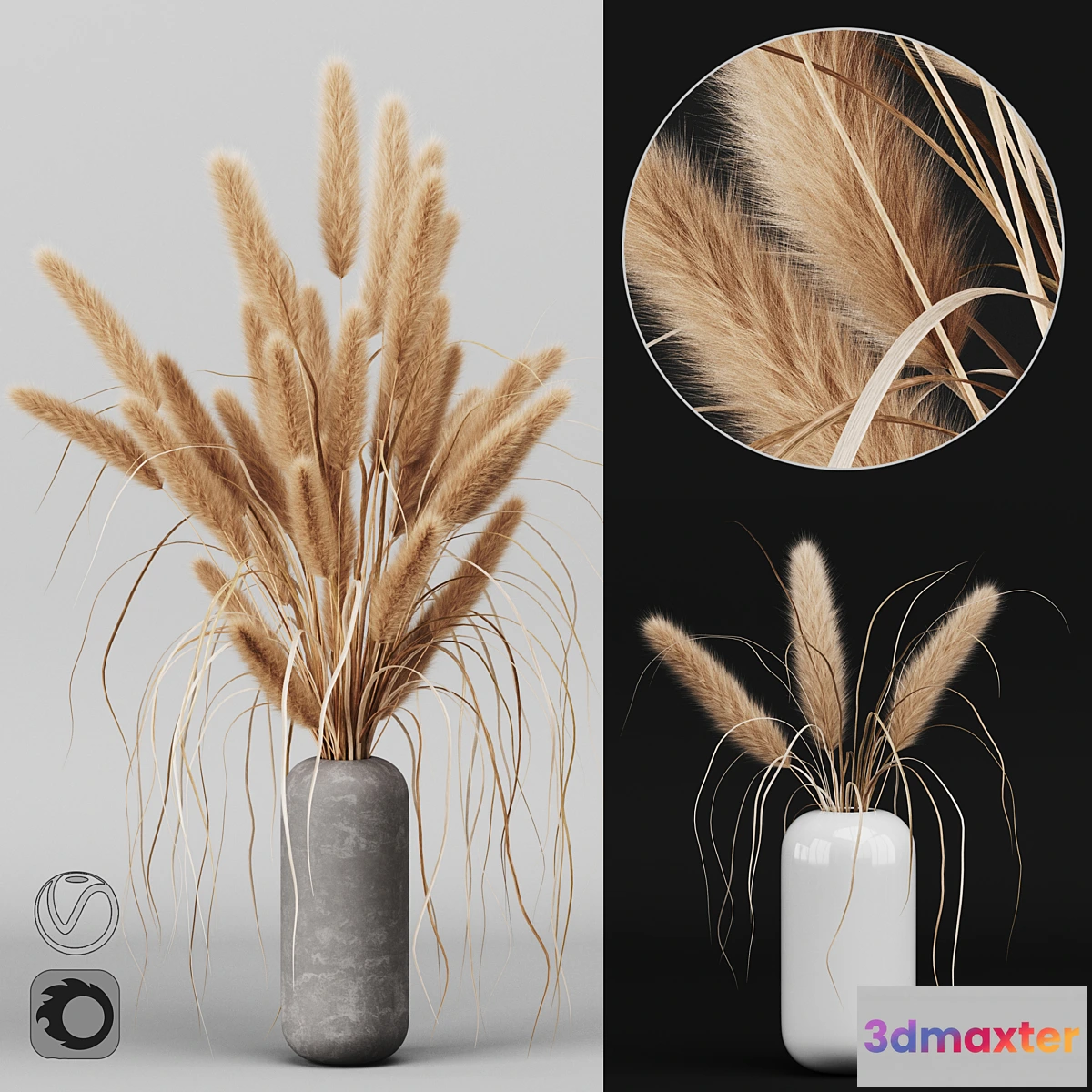 716004 - A bunch of Pampas 2 - No.2