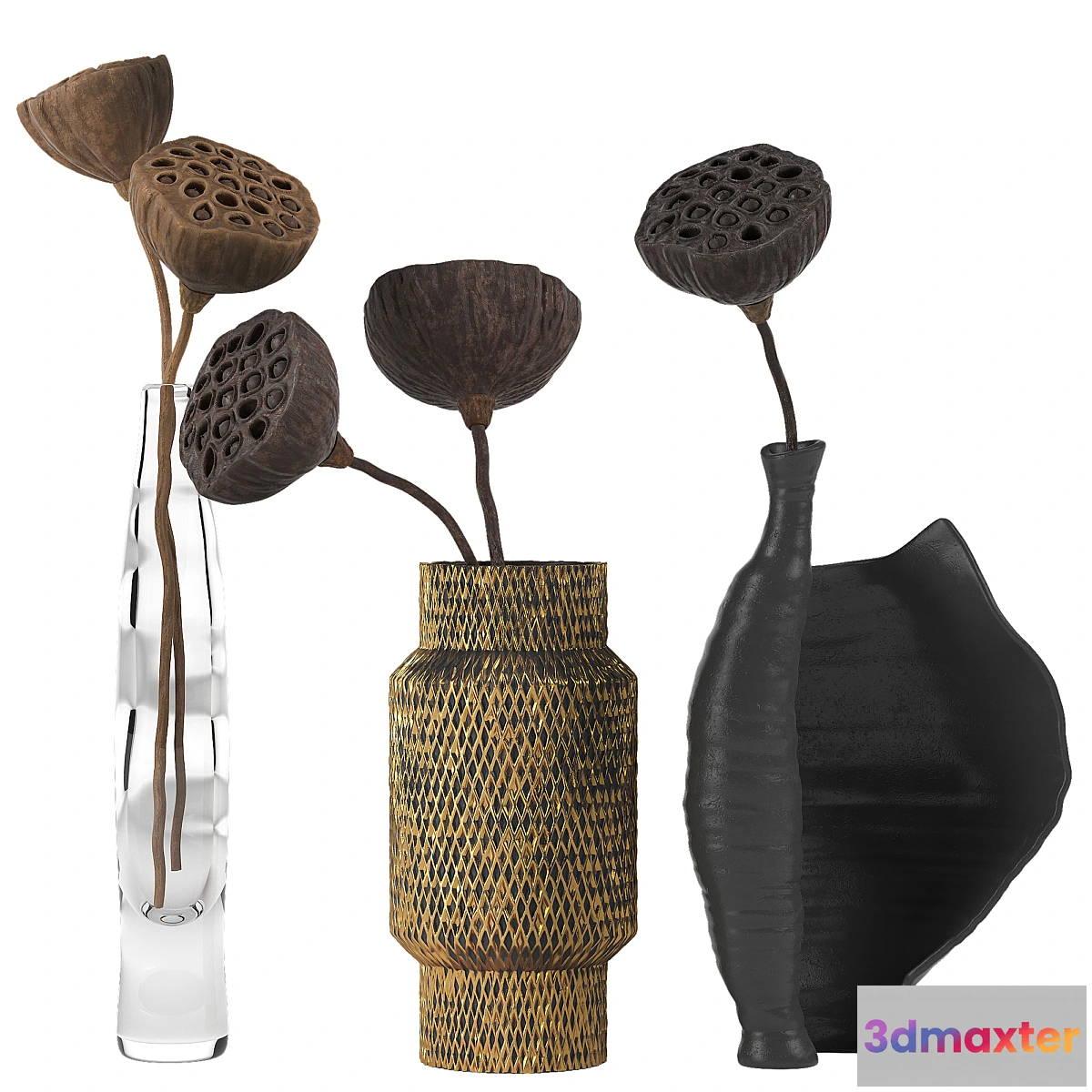 716094 - Lotus - No.6