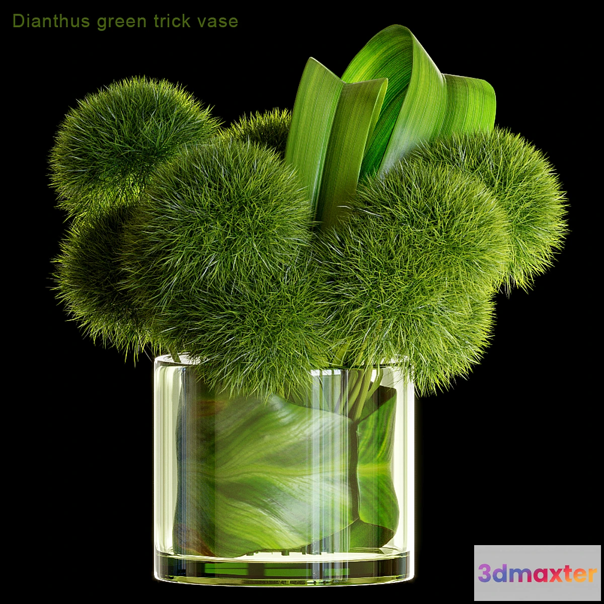 716232 - Dianthus green trick vase - No.2