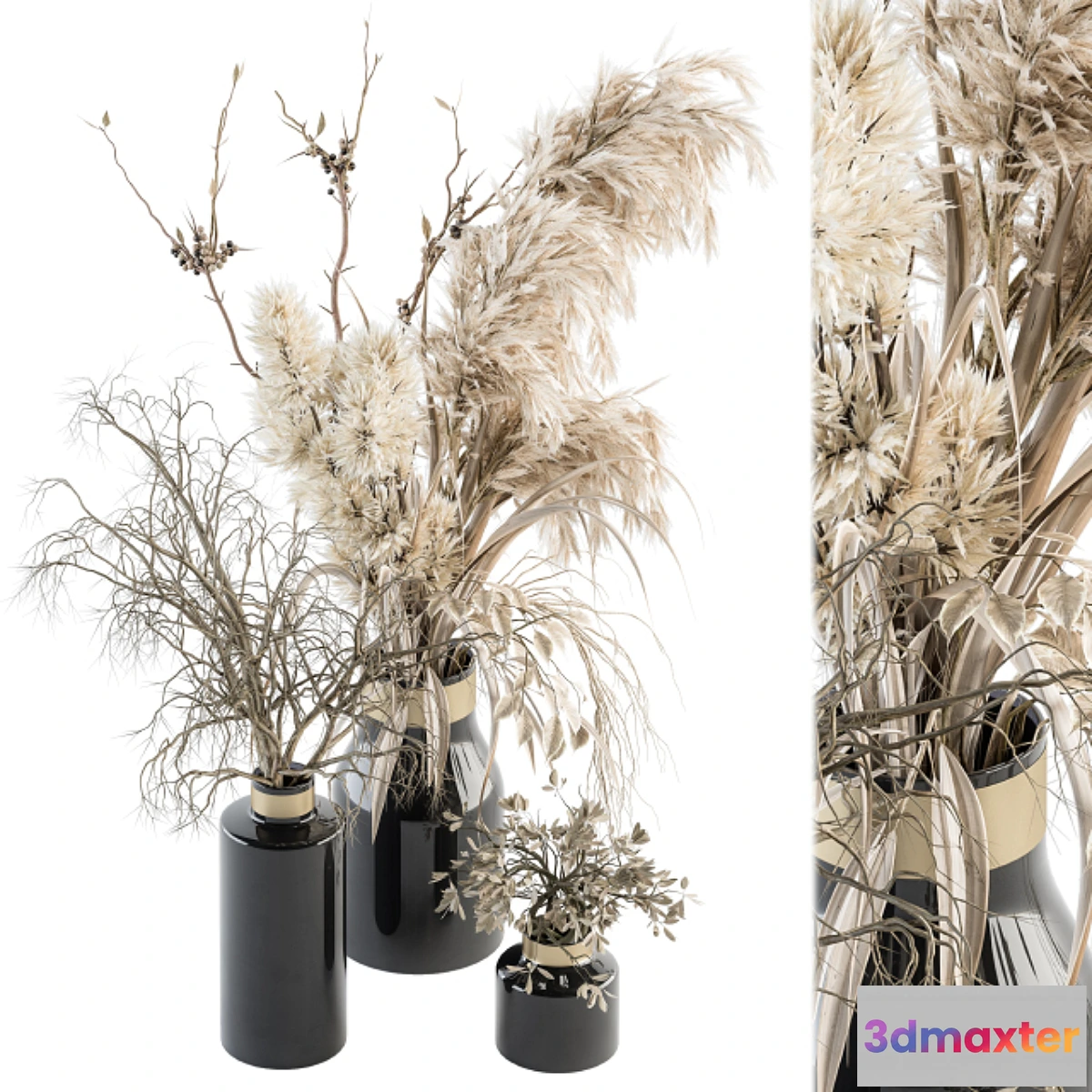 721824 - Dry plants 70 - Dried Pampas Set - No.2