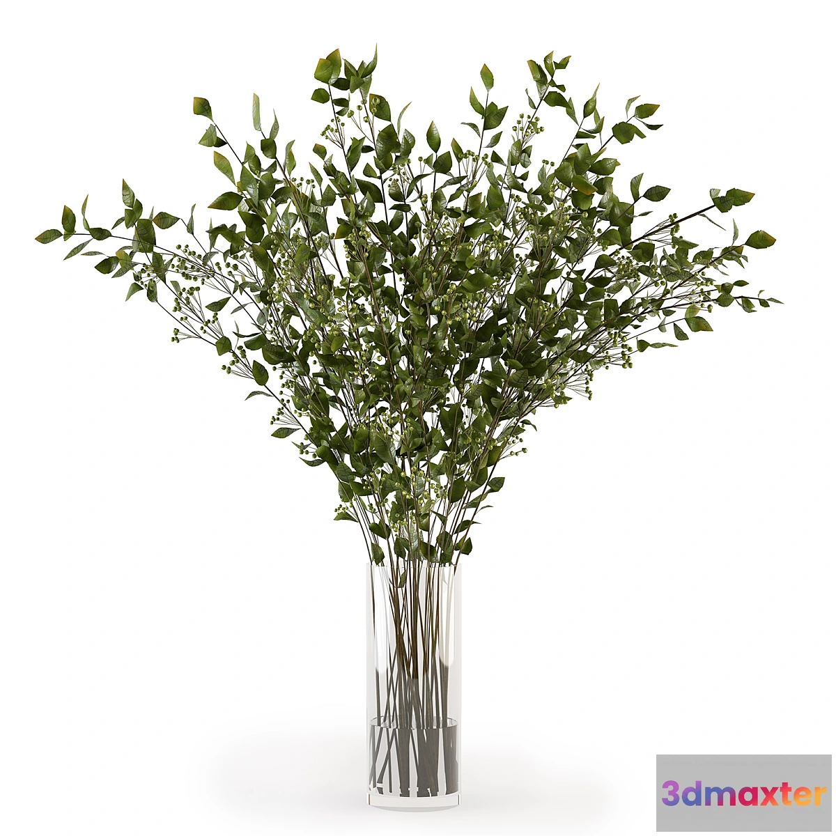 739763 - Branches in a vase 008 - No.2