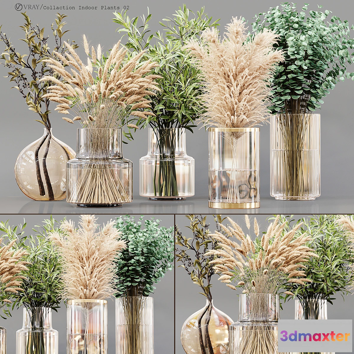 748215 - Collection Indoor Plants 02 - No.2