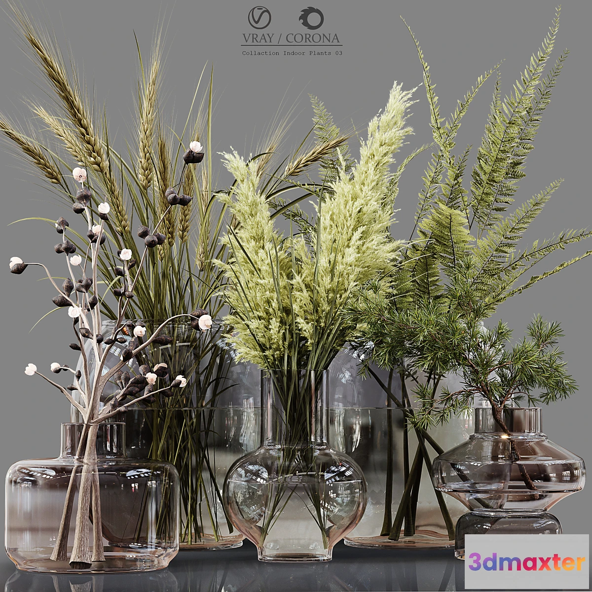 748217 - Collection Indoor Plants 03 - No.3