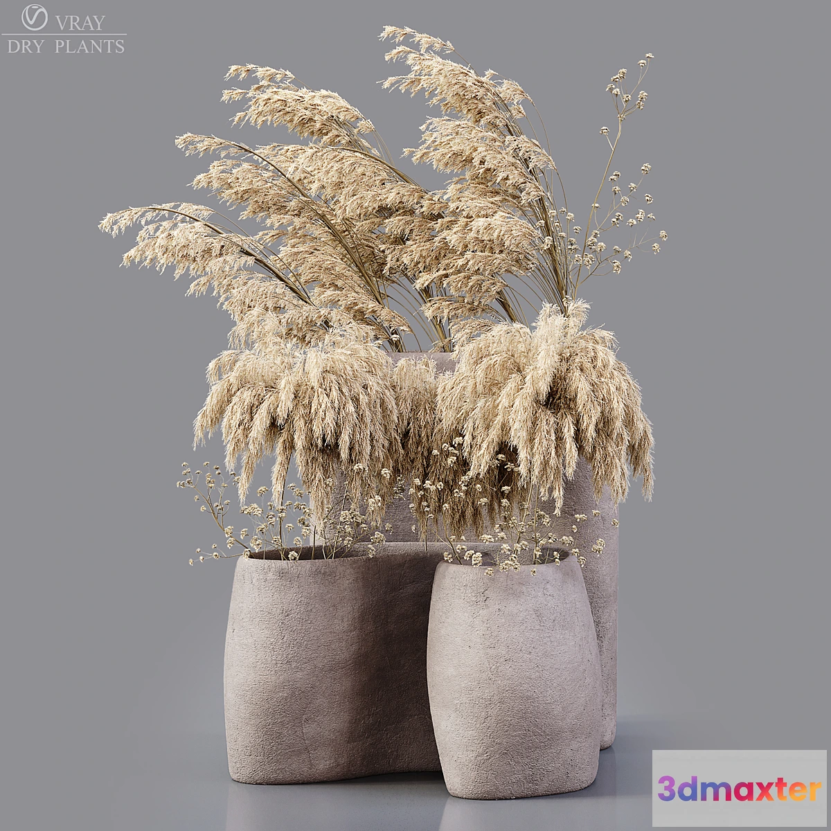 748233 - Dry plants - No.2