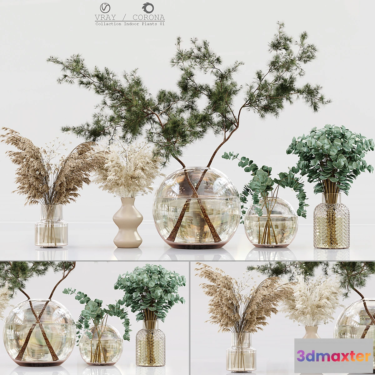 748237 - Collection Indoor Plants 01