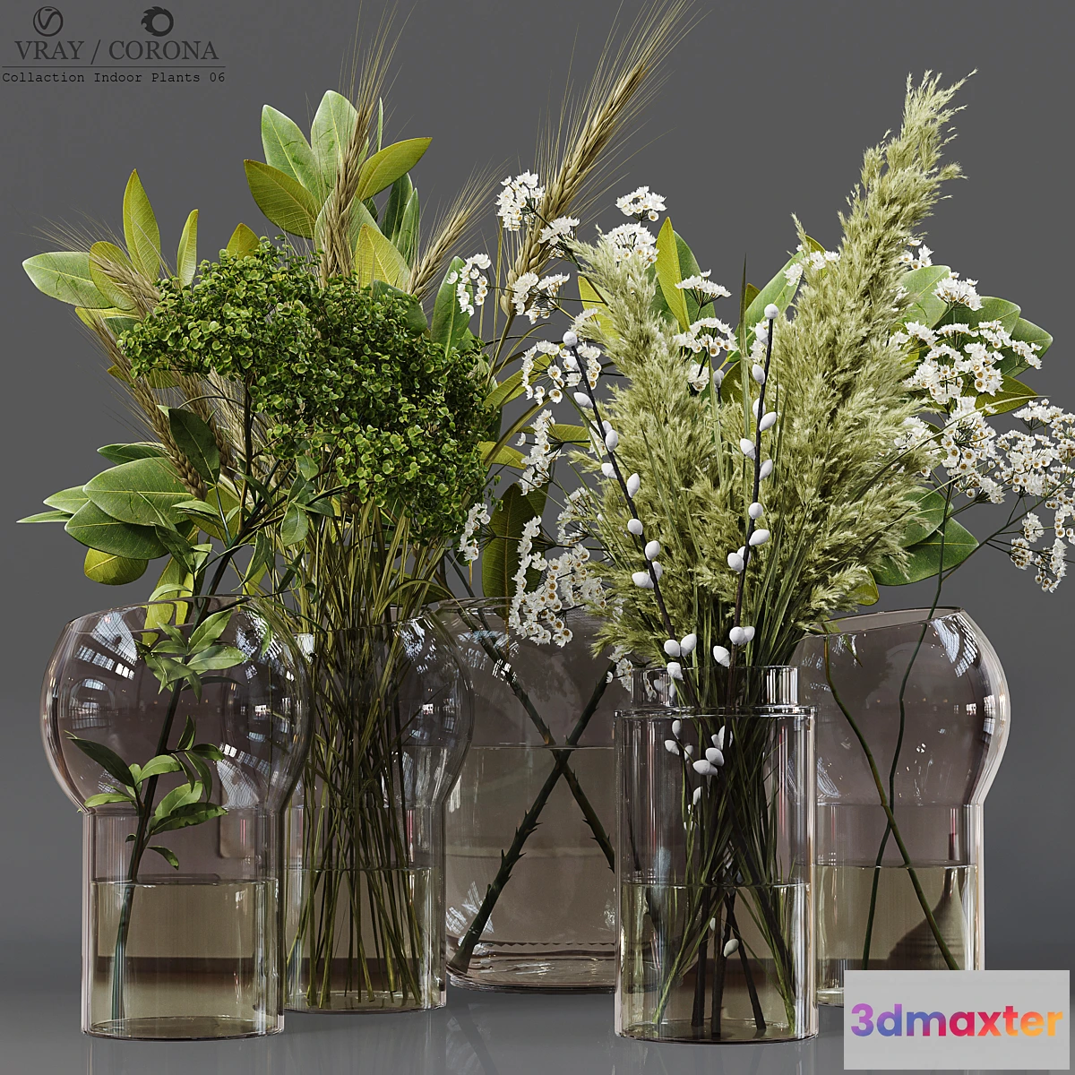 748267 - Collection Indoor Plants 06 - No.3