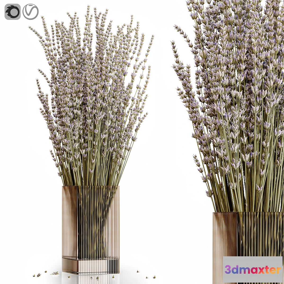 748271 - Dry flowers 5 lavender - No.2