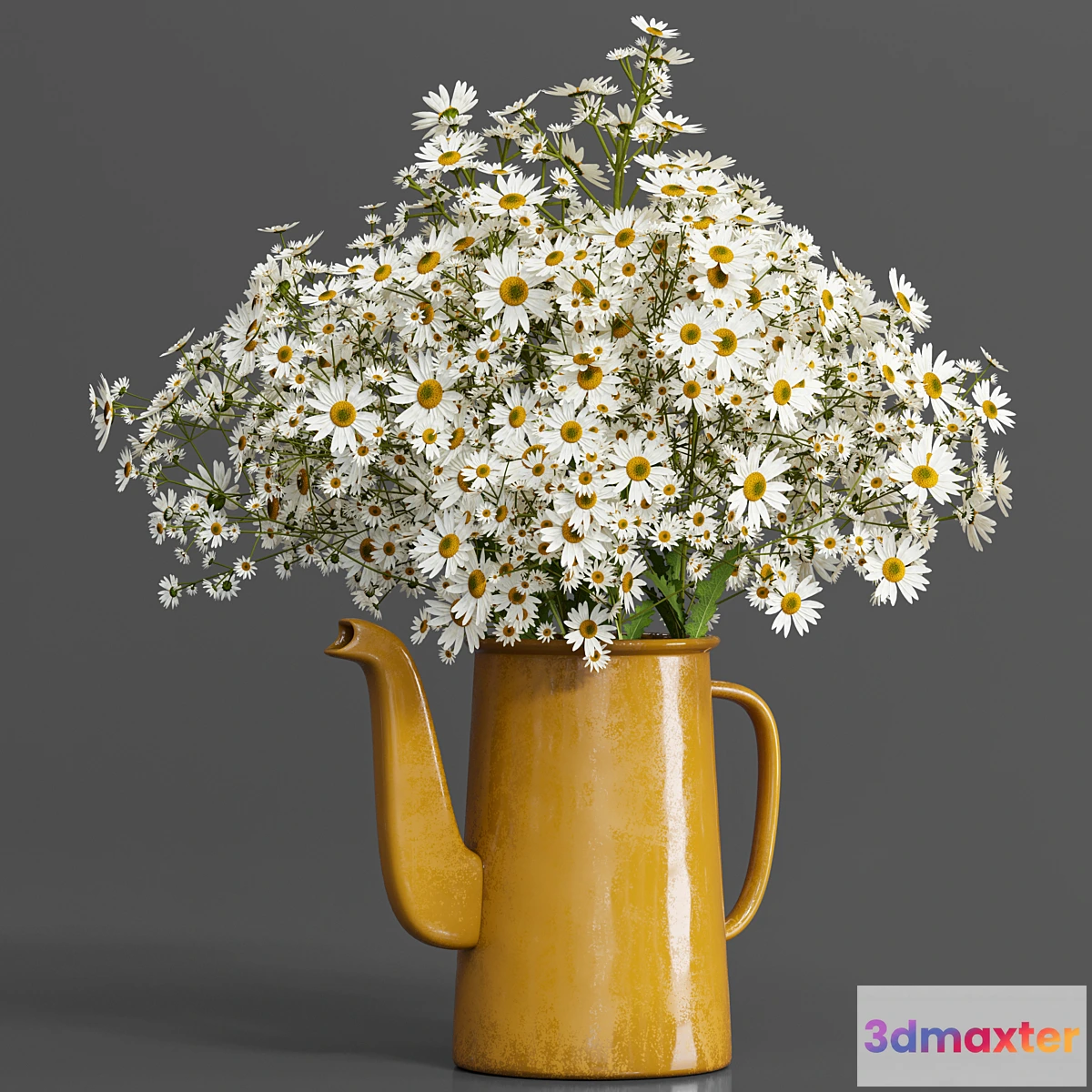 748297 - bouquet01-chamomile