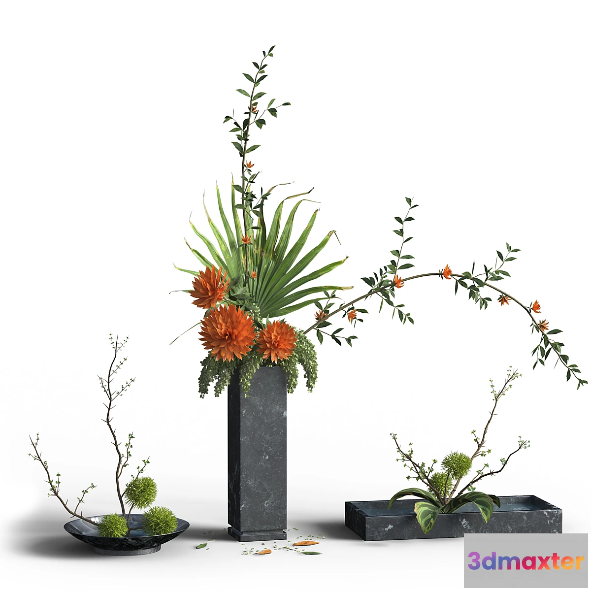 748299 - Indoor Plant Set 03 -three bouquets - No.2