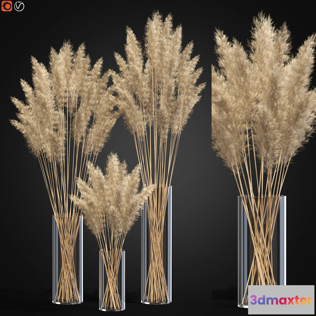 748321 - Decorative Pampas - No.4