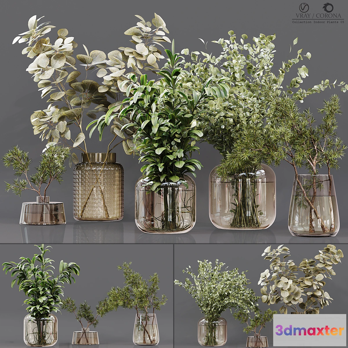 748323 - Collection Indoor Plants 05 - No.2