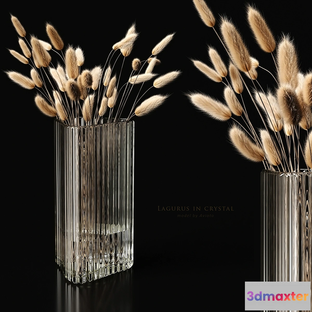 748343 - Lagurus in crystal - No.3