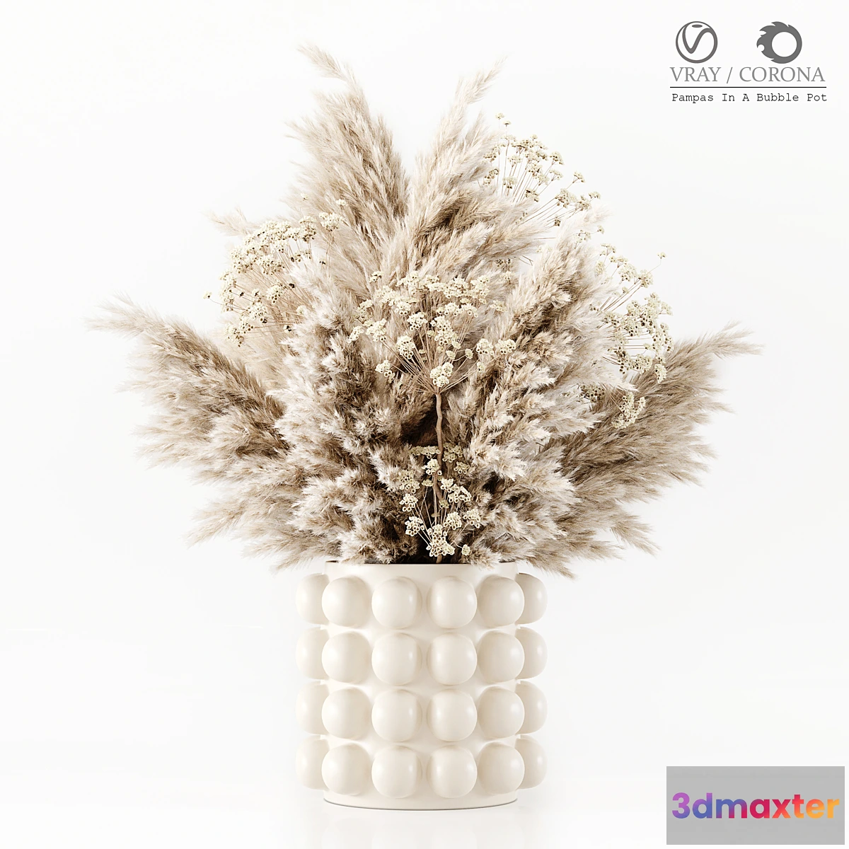 748381 - Pampas In A Bubble Pot - No.3