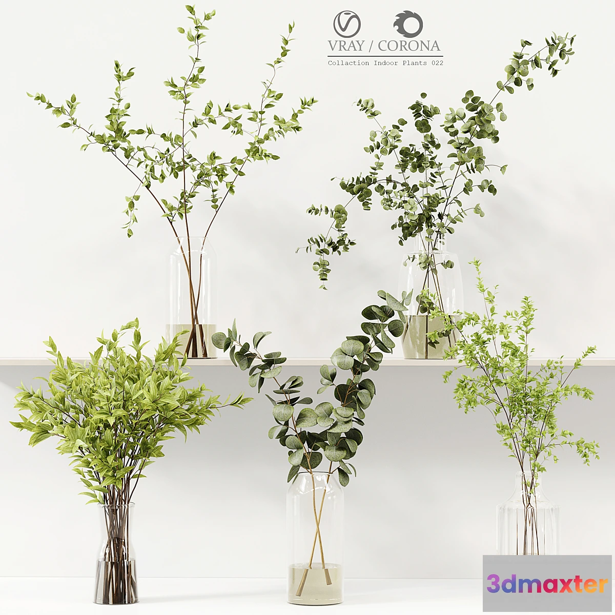 748401 - Collection Indoor Plants 022